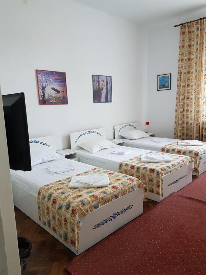 Pensiunea Geostar 2 คูร์ตา เด อาร์เจช ภายนอก รูปภาพ