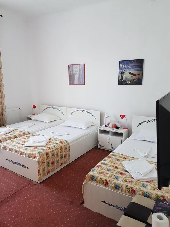 Pensiunea Geostar 2 คูร์ตา เด อาร์เจช ภายนอก รูปภาพ