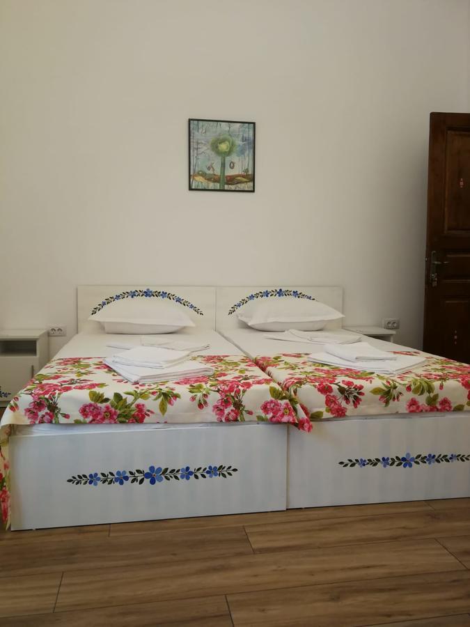 Pensiunea Geostar 2 คูร์ตา เด อาร์เจช ภายนอก รูปภาพ