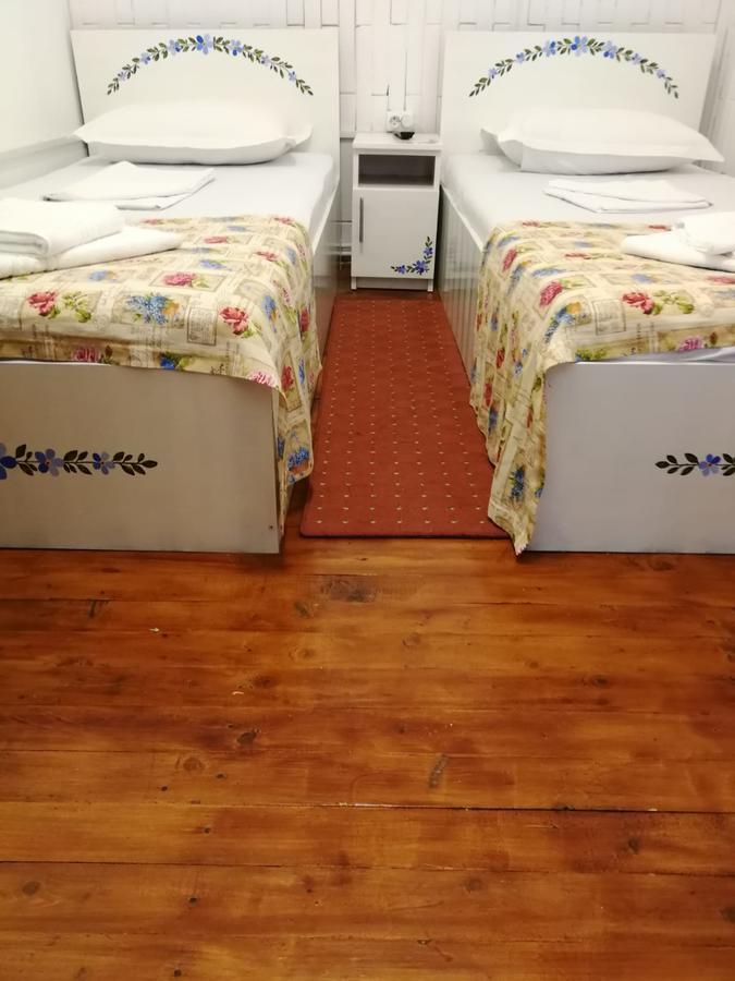 Pensiunea Geostar 2 คูร์ตา เด อาร์เจช ภายนอก รูปภาพ